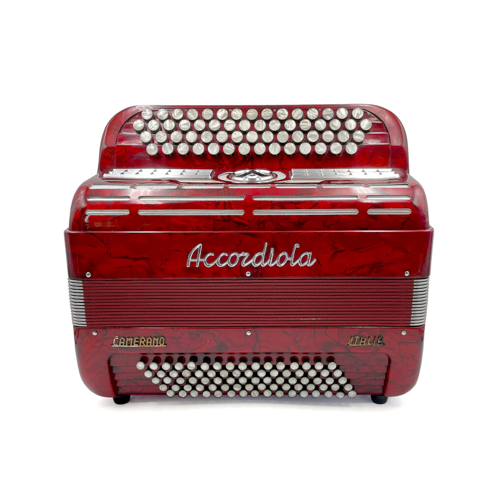 Illustration : Accordiola Junior