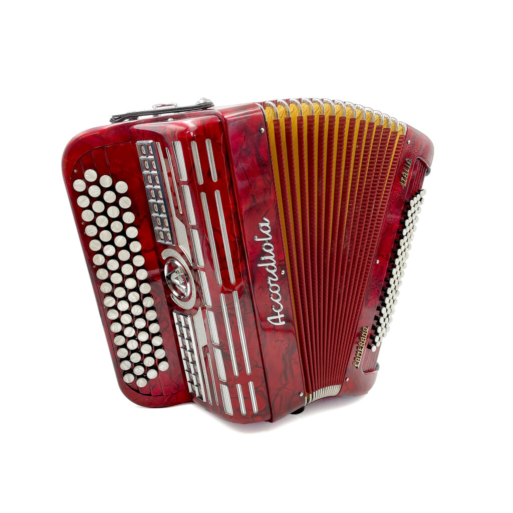 Illustration : Accordiola Junior