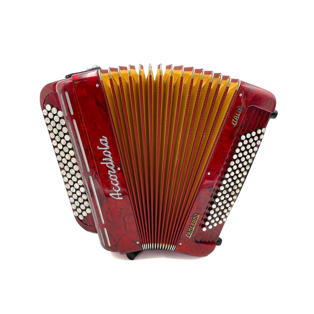 Illustration : Accordiola Junior