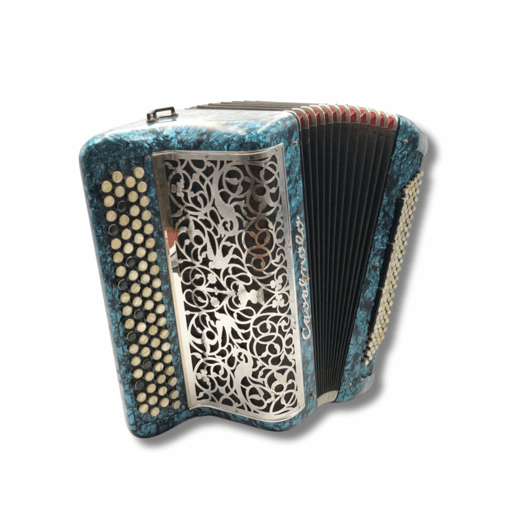 Illustration : Cavagnolo Orchestre 5 3 voix 120 basses bleu marbré