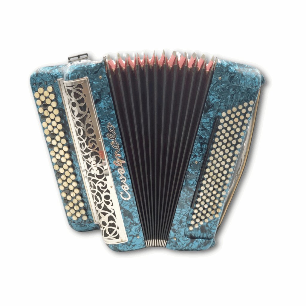 Illustration : Cavagnolo Orchestre 5 3 voix 120 basses bleu marbré