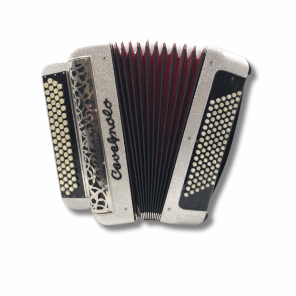 Illustration : Cavagnolo 3 voix 96 basses compact gris paillette