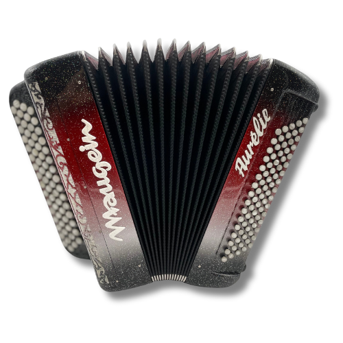 Illustration : Maugein Export 2 Voix 80 basses