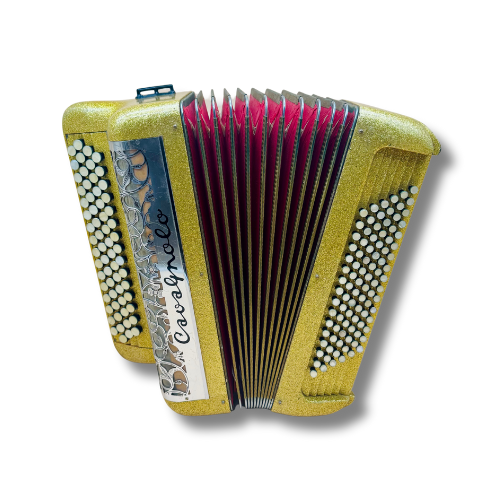 Illustration : Accordéon Chromatique Cavagnolo 3 Voix 96 Basses