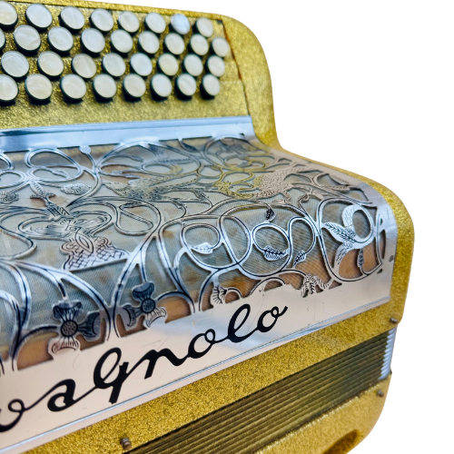 Illustration : Accordéon Chromatique Cavagnolo 3 Voix 96 Basses